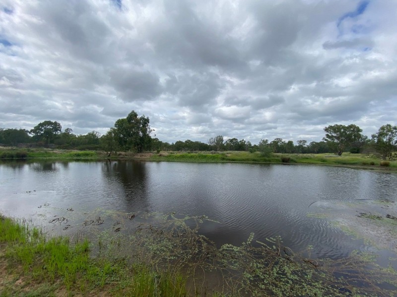 38672 Leichhardt Highway, Miles QLD 4415