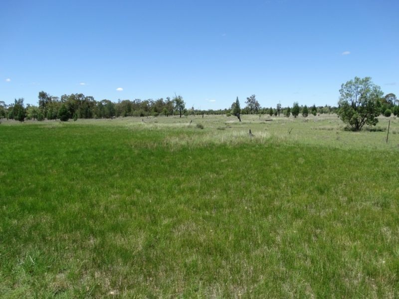 1061 ACRES 2165 – Kogan Condamine Highway, Chinchilla QLD 4413