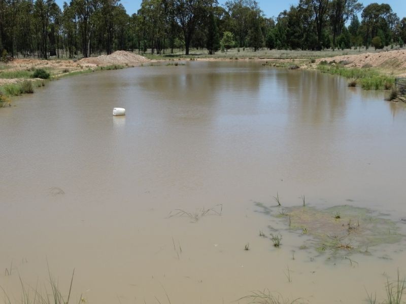 1061 ACRES 2165 – Kogan Condamine Highway, Chinchilla QLD 4413