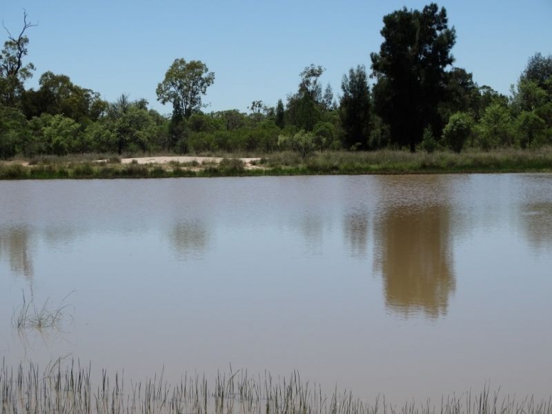 1061 ACRES 2165 – Kogan Condamine Highway, Chinchilla QLD 4413