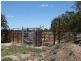 1061 ACRES 2165 – Kogan Condamine Highway, Chinchilla QLD 4413