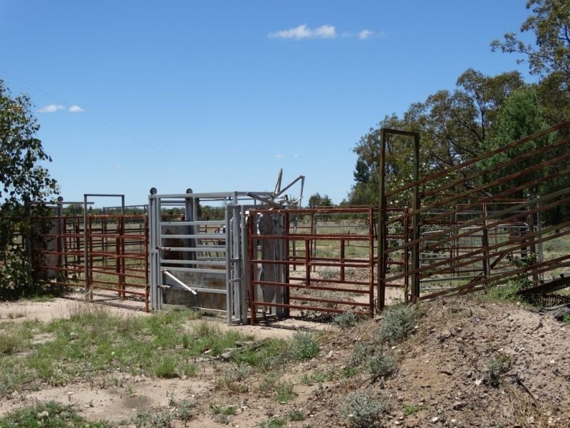 1061 ACRES 2165 – Kogan Condamine Highway, Chinchilla QLD 4413