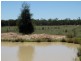 1061 ACRES 2165 – Kogan Condamine Highway, Chinchilla QLD 4413