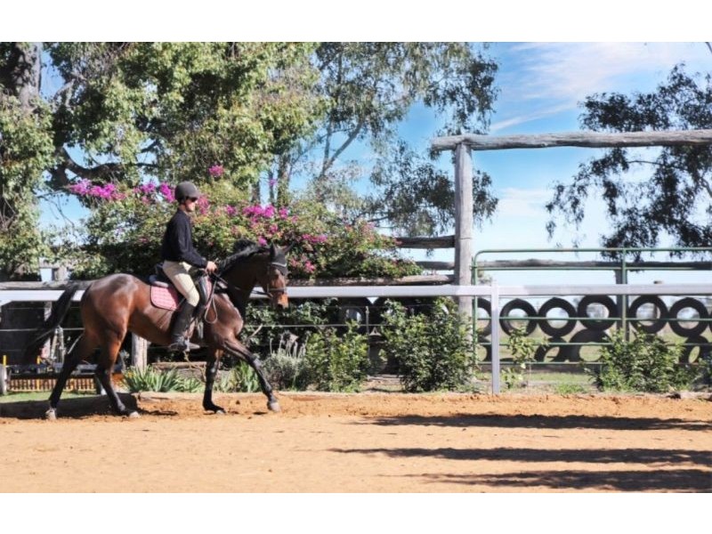 269 Red Hill Road, Chinchilla QLD 4413