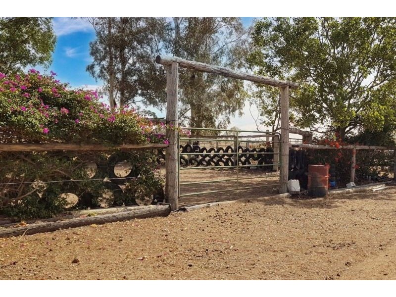 269 Red Hill Road, Chinchilla QLD 4413