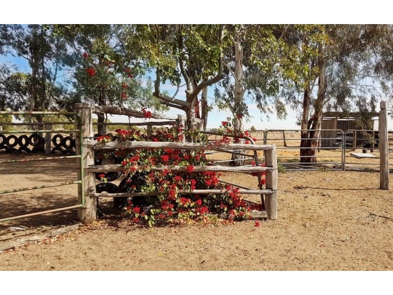 269 Red Hill Road, Chinchilla QLD 4413