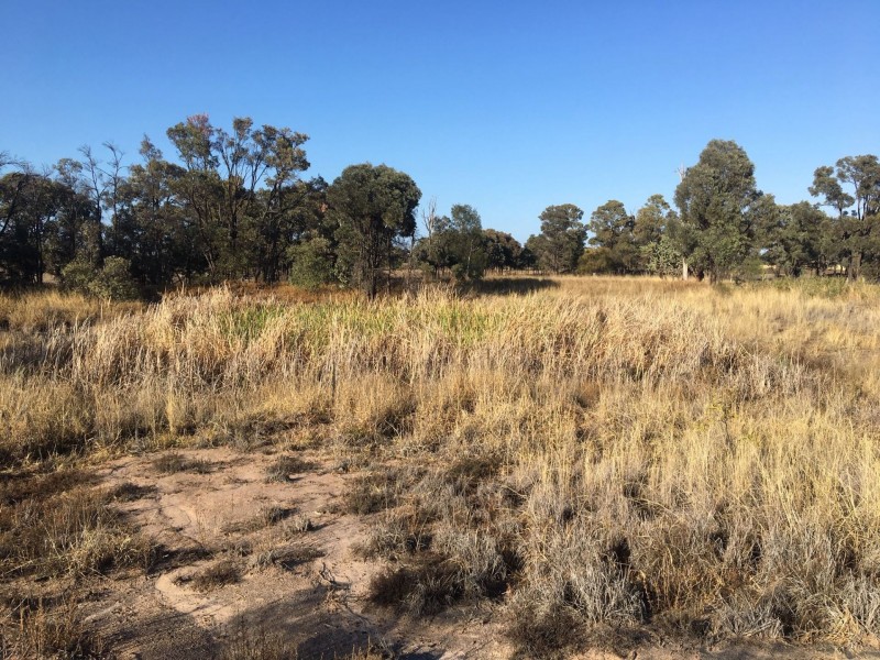 35 – 37 Campbell St, Brigalow QLD 4412