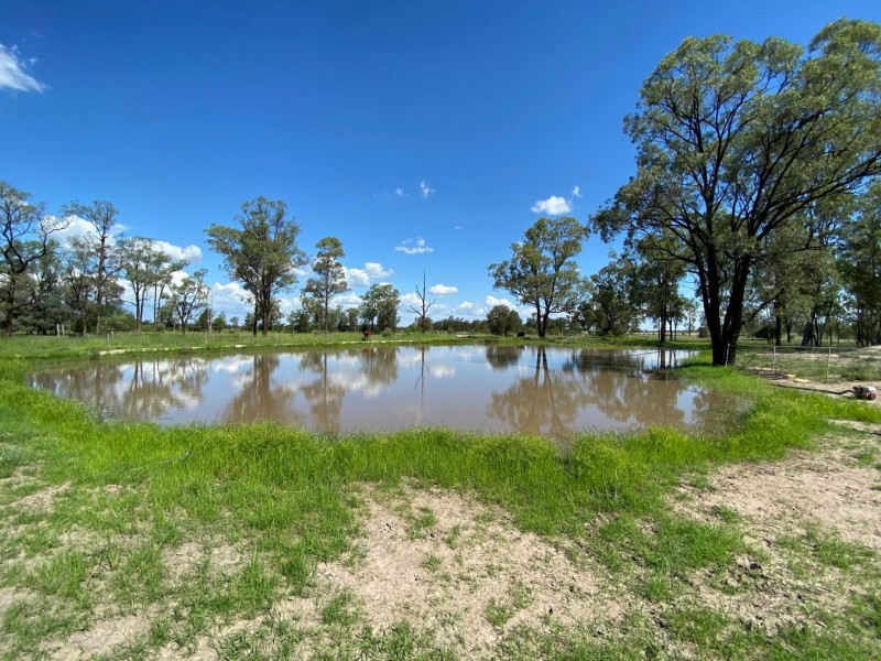 729 Davies Road, Chinchilla QLD 4413