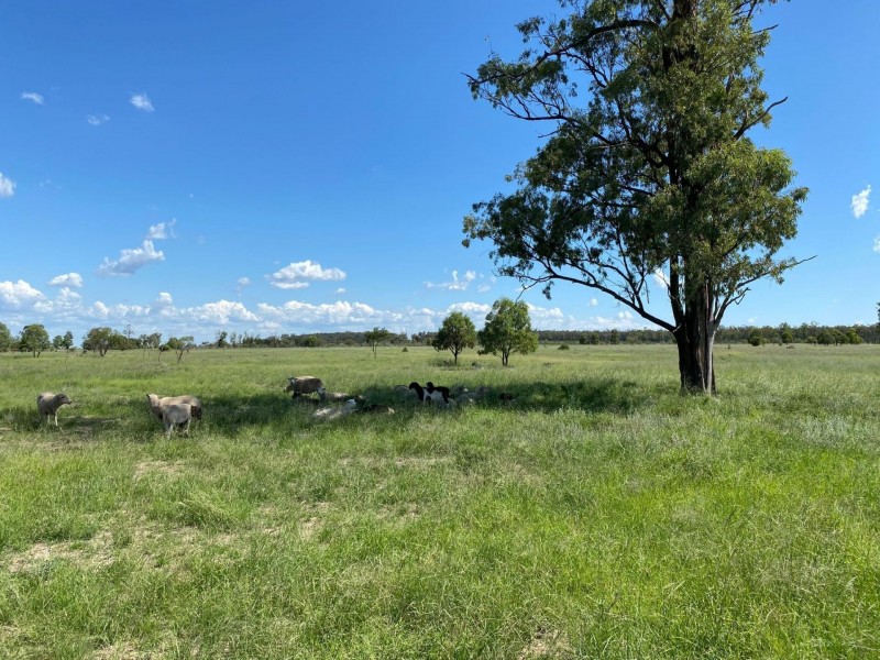 729 Davies Road, Chinchilla QLD 4413