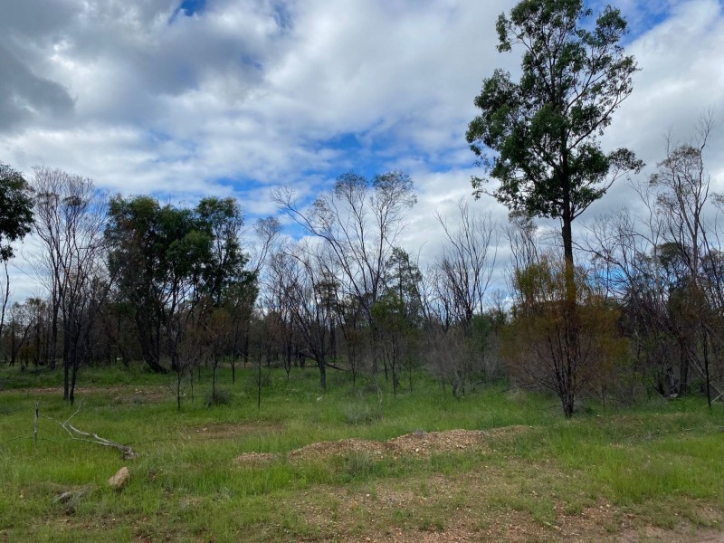 40 Tolmah Court, Tara QLD 4421