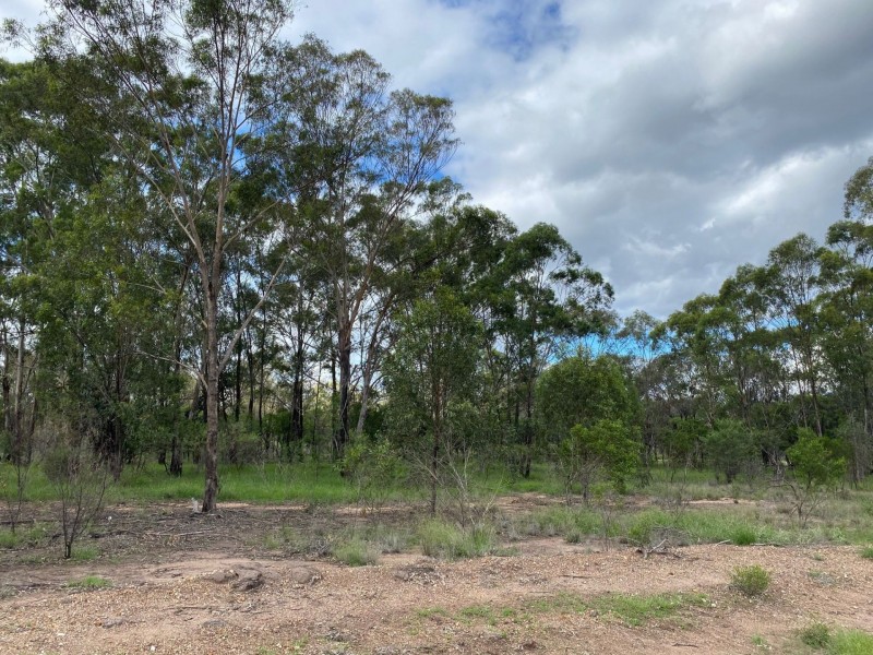 40 Tolmah Court, Tara QLD 4421