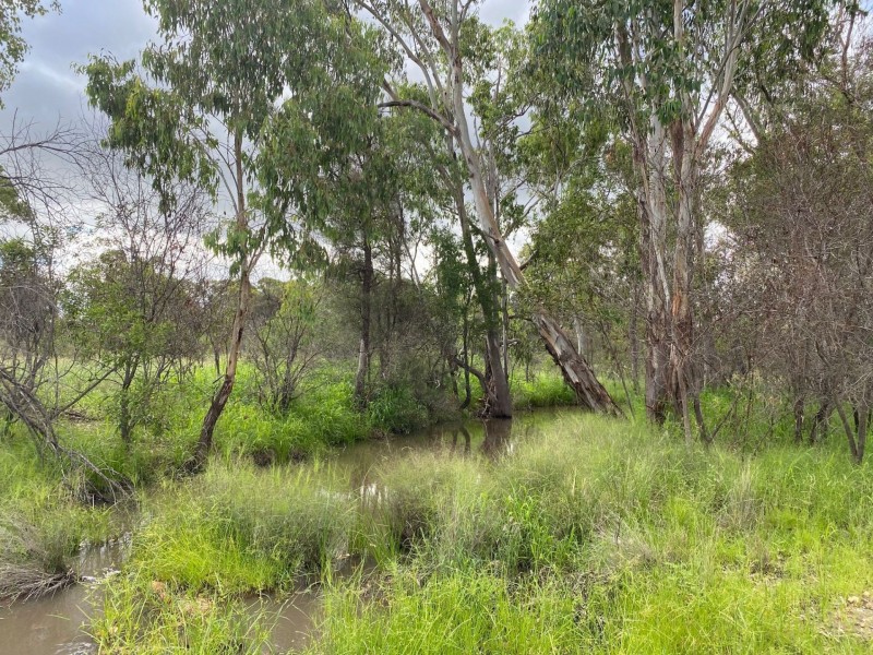 40 Tolmah Court, Tara QLD 4421