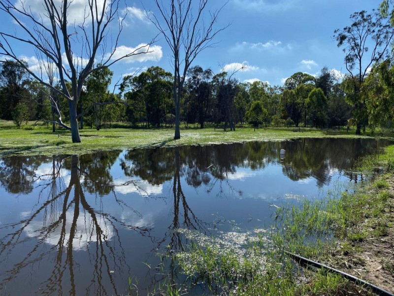 692 Holmes Road, Chinchilla QLD 4413