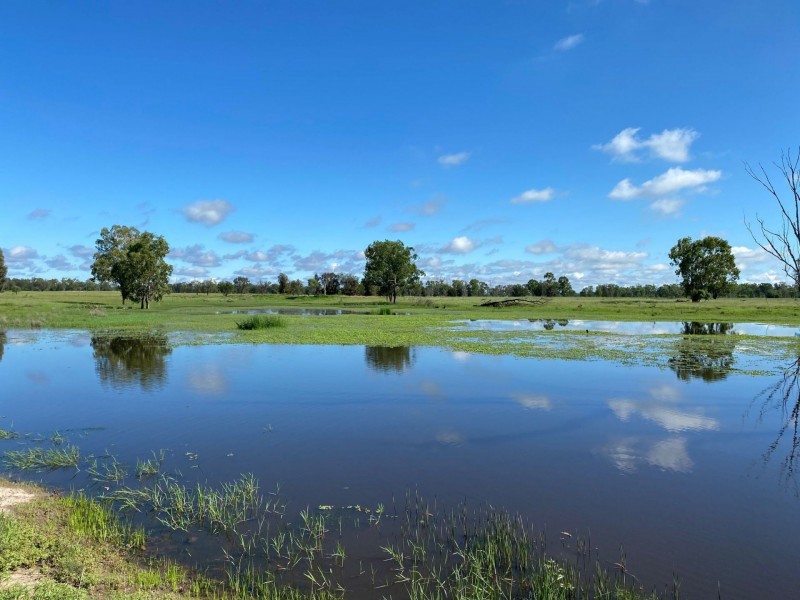 692 Holmes Road, Chinchilla QLD 4413