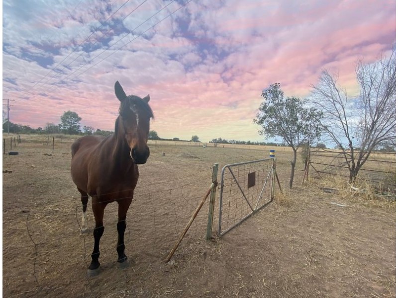 419 Chinchila Tara Road, Chinchilla QLD 4413