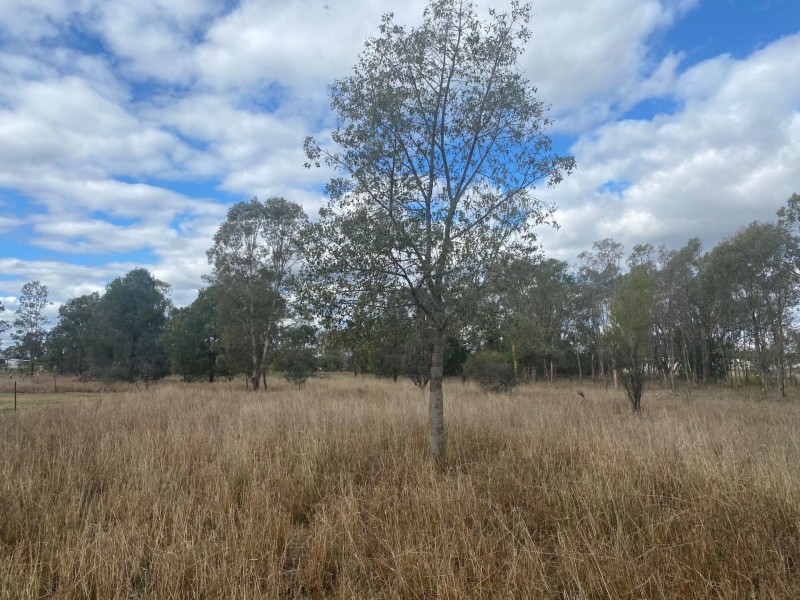 27 Wilson St, Condamine QLD 4416