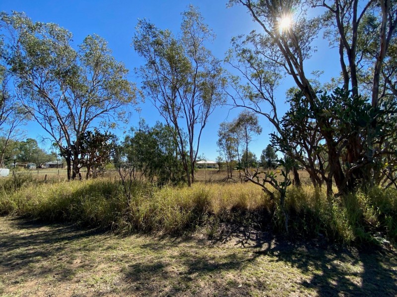 29 WILSON ST, Condamine QLD 4416