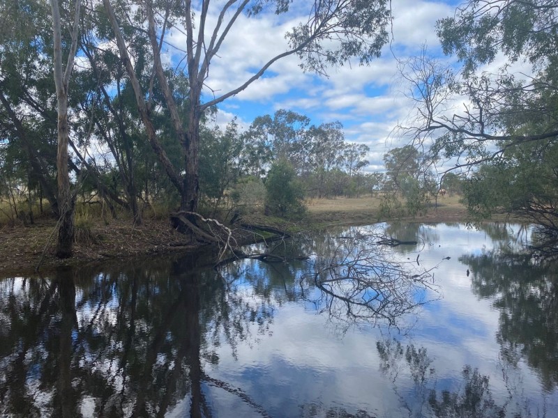 31 WILSON ST, Condamine QLD 4416