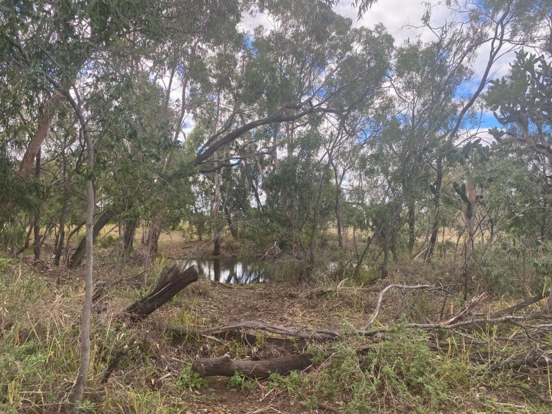 31 WILSON ST, Condamine QLD 4416