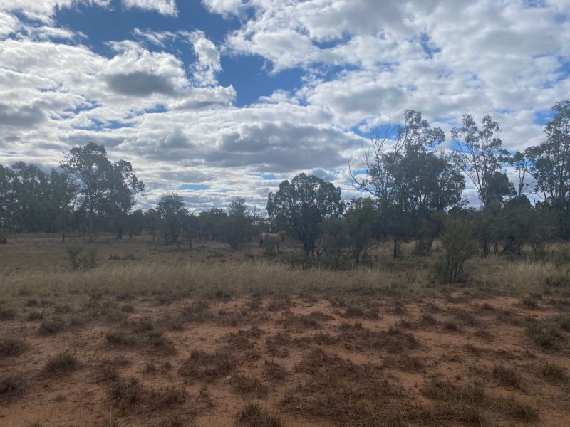 33 WILSON ST, Condamine QLD 4416