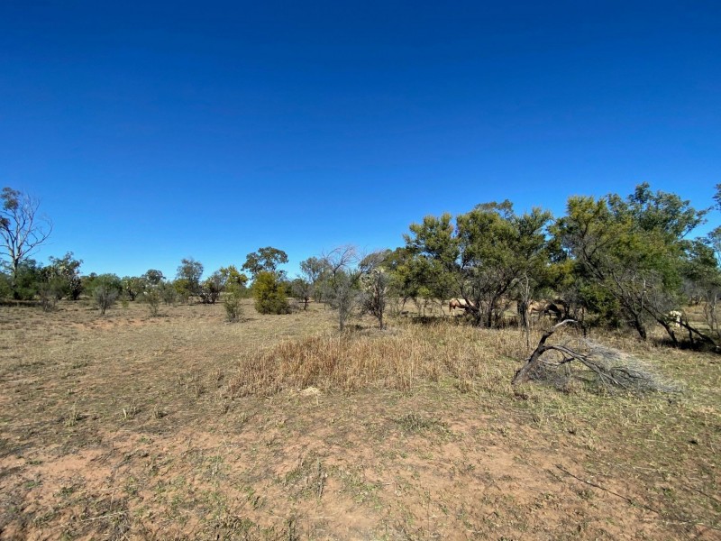 32 Wood St, Condamine QLD 4416