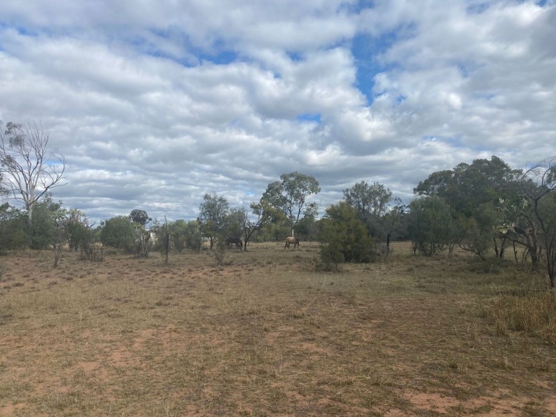 32 Wood St, Condamine QLD 4416