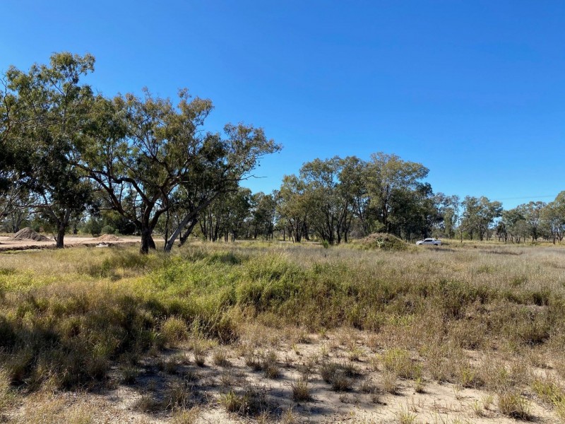 Lots 81 to 84 South St, Condamine QLD 4416