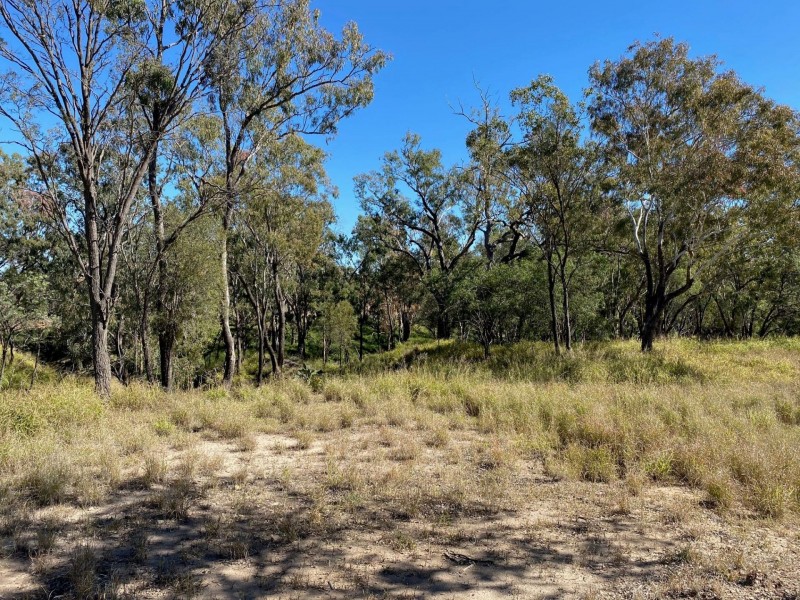 Lots 81 to 84 South St, Condamine QLD 4416