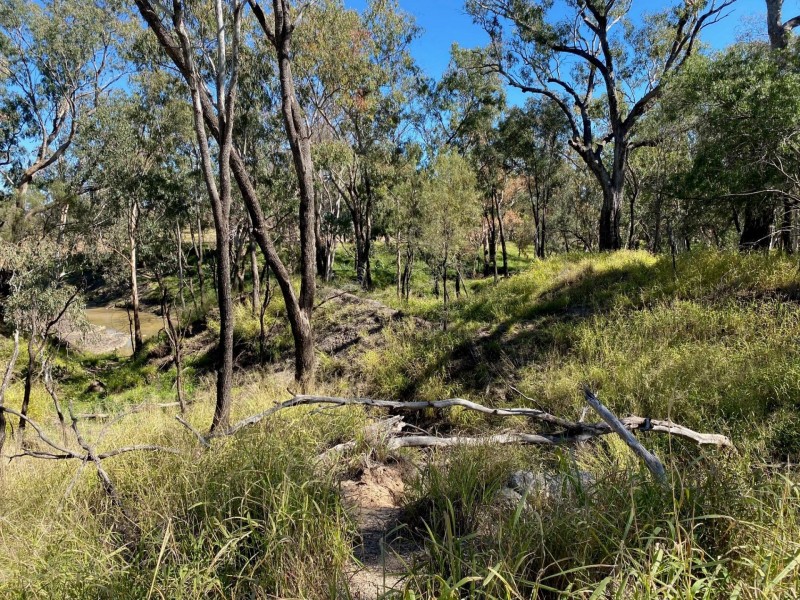 Lots 81 to 84 South St, Condamine QLD 4416