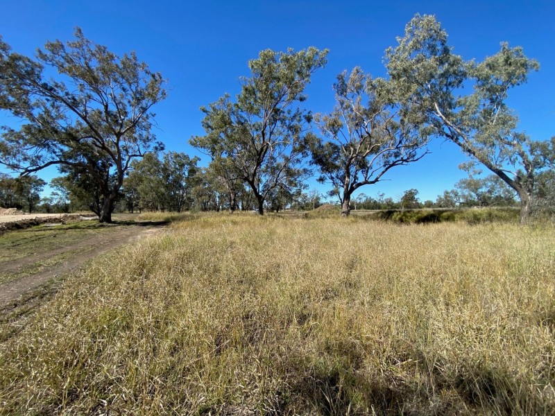 Lots 81 to 84 South St, Condamine QLD 4416