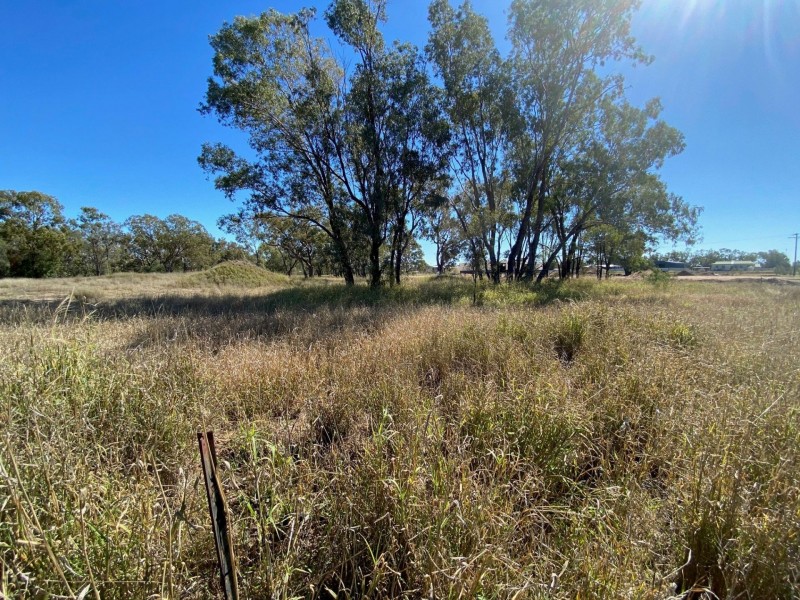 Lots 81 to 84 South St, Condamine QLD 4416