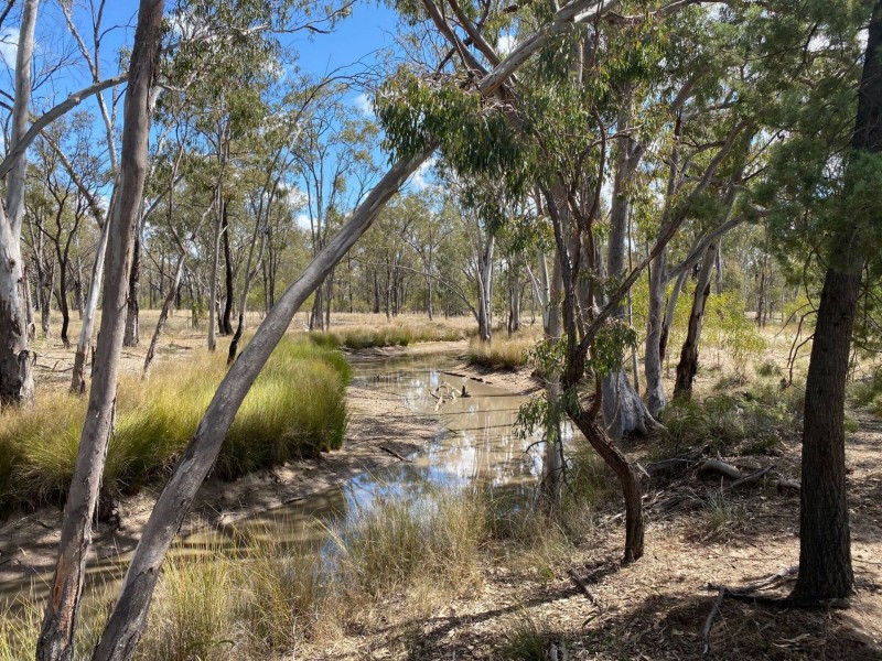 Lot 15 Boort Koi Rd, Chinchilla QLD 4413