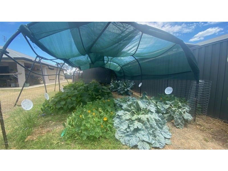 3-5 Wheildon Way, Chinchilla QLD 4413