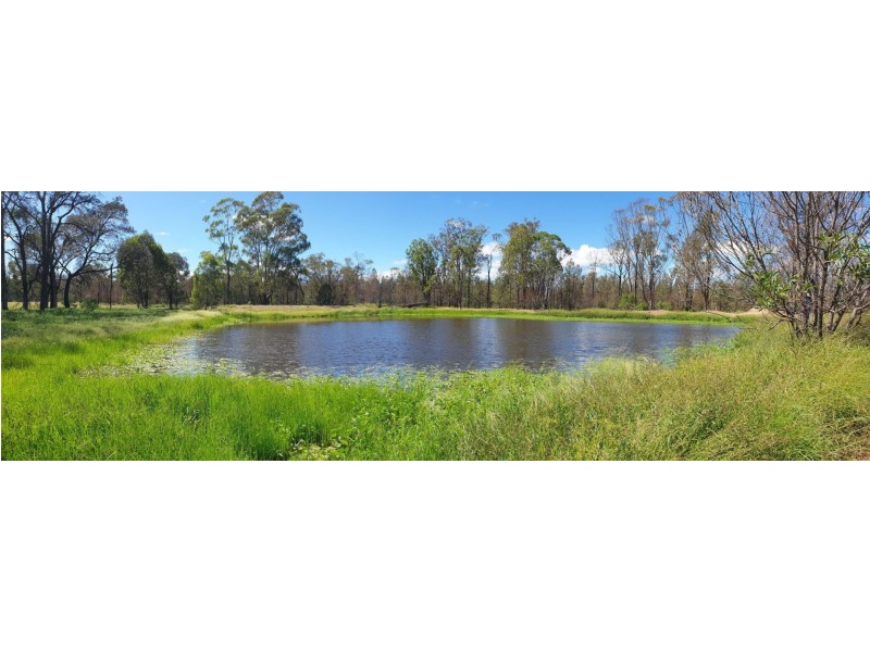 Lot 16 Surat Development Rd, Tara QLD 4421
