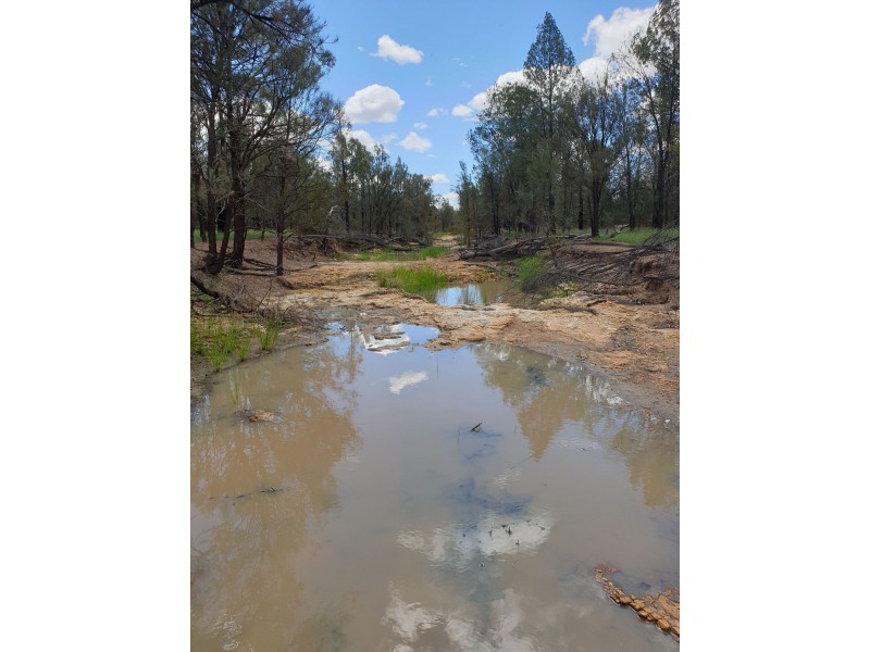 Lot 16 Surat Development Rd, Tara QLD 4421