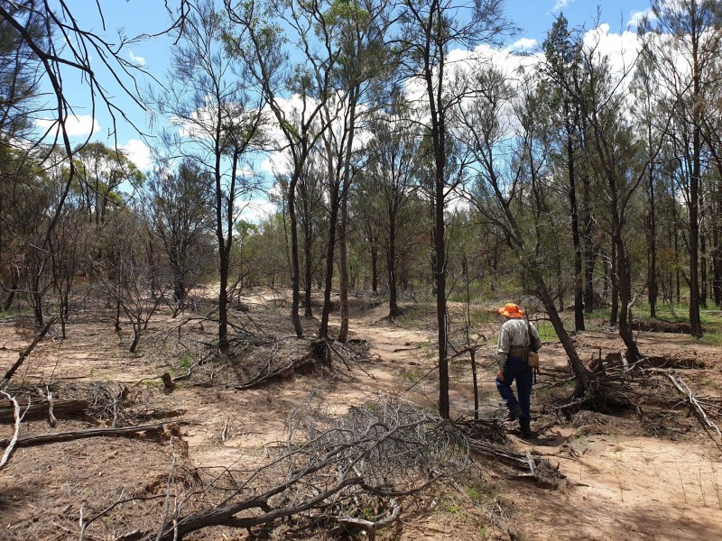 Lot 16 Surat Development Rd, Tara QLD 4421