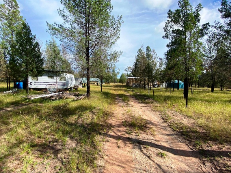 175 Bisley Road, Tara QLD 4421