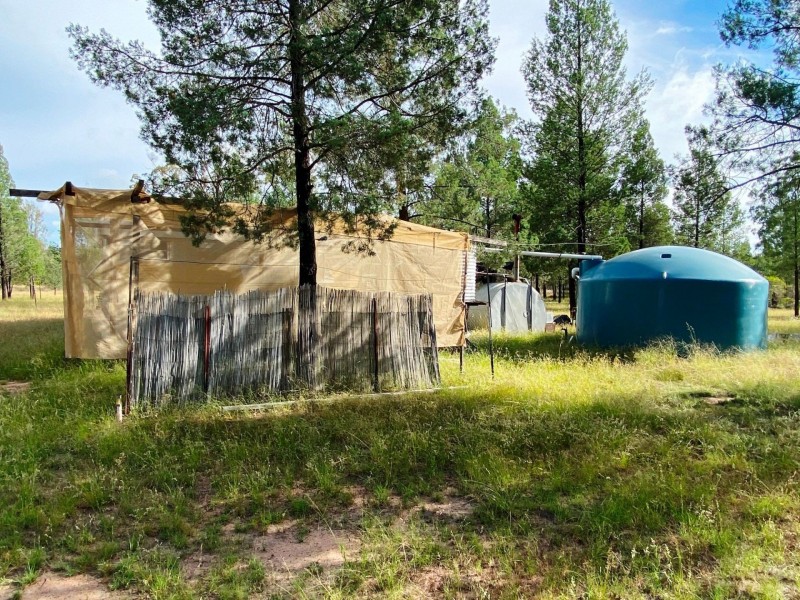 175 Bisley Road, Tara QLD 4421