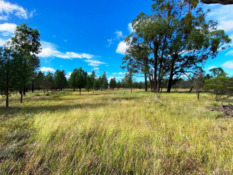 175 Bisley Road, Tara QLD 4421