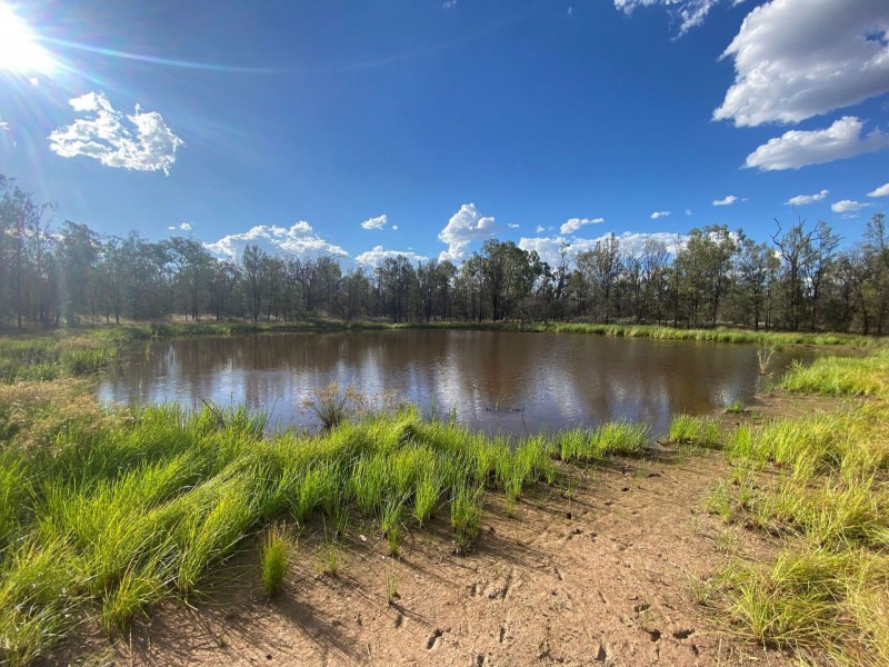 Lot 45 Chinchilla Tara Road, Wieambilla QLD 4413