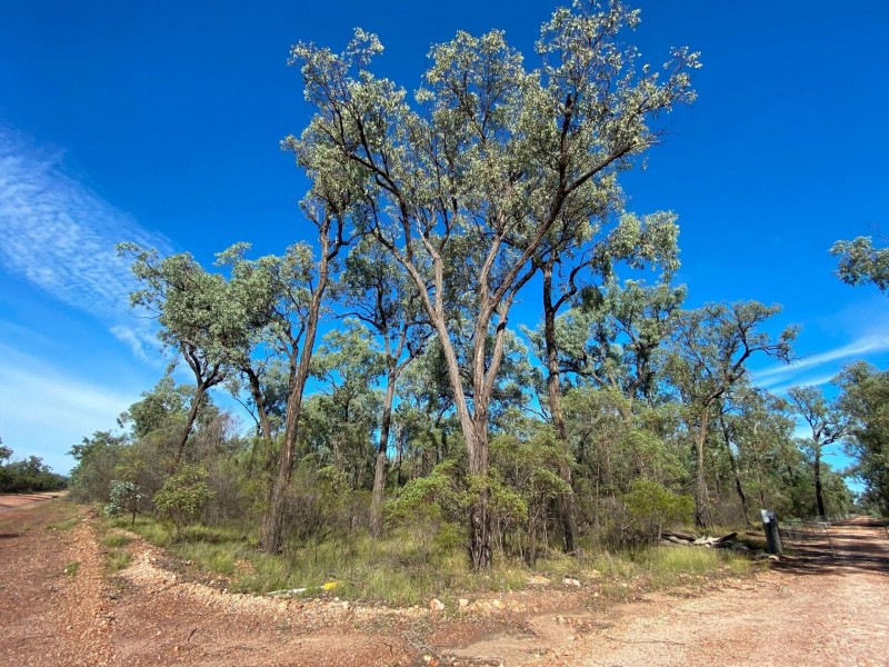 Lot 13 Winfield Road, Tara QLD 4421