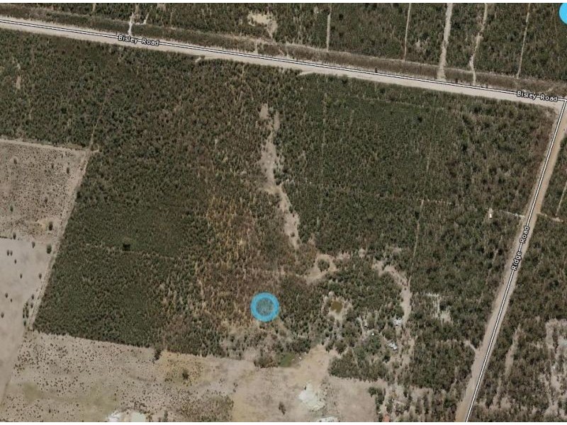 277 RIDGE ROAD, Tara QLD 4421