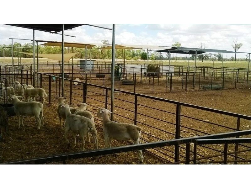 2967 A Tara Kogan Road, Kogan QLD 4406