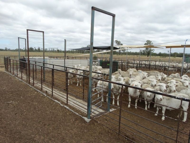 2967 A Tara Kogan Road, Kogan QLD 4406