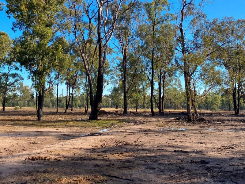 250 Kookaburra Drive, Tara QLD 4421