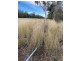 Lot 2 Sandy Creek Road, Kogan QLD 4406