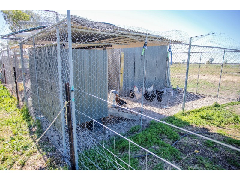 143 Ainsworth Street, Chinchilla QLD 4413