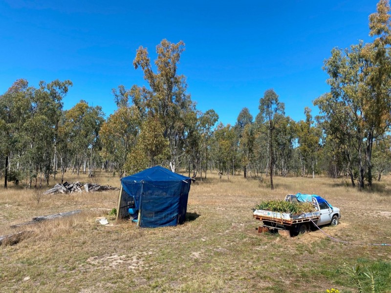 384 O’Hallorans Road, Tara QLD 4421