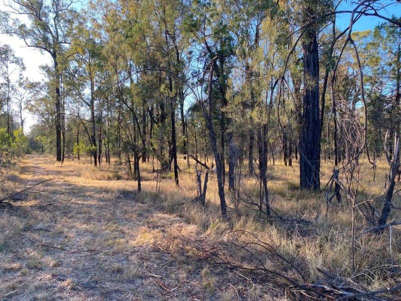 144 Christopher Road, Tara QLD 4421