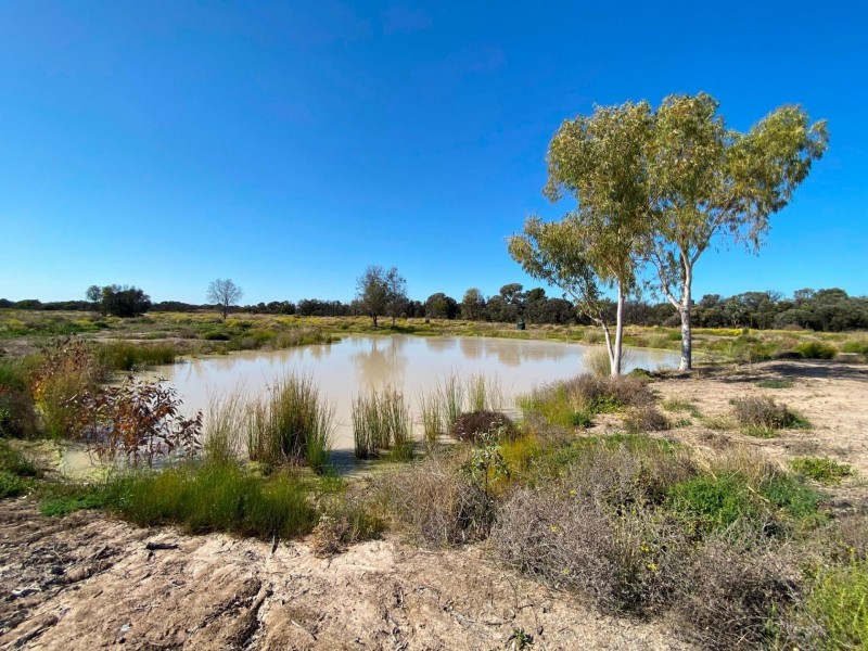 1988 Tullagrie Road, Tara QLD 4421